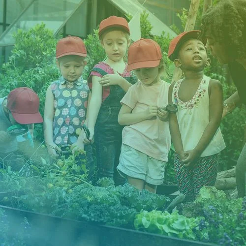 Green Explorers Academy curriculum